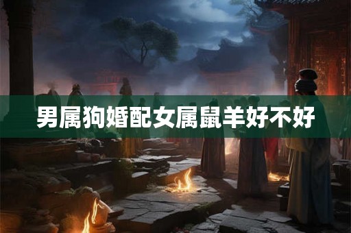 男属狗婚配女属鼠羊好不好