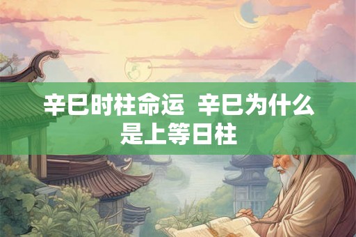 辛巳时柱命运  辛巳为什么是上等日柱
