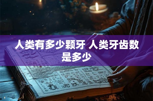 人类有多少颗牙 人类牙齿数是多少