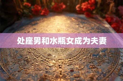 处座男和水瓶女成为夫妻 处座男和水瓶女成为夫妻