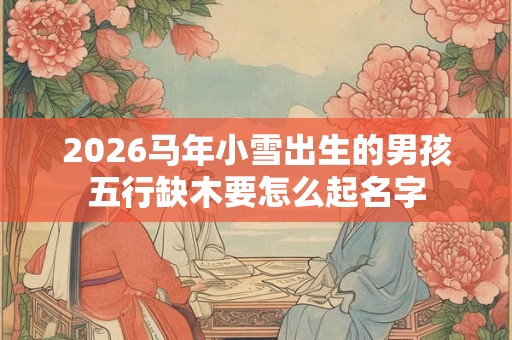 2026马年小雪出生的男孩五行缺木要怎么起名字 2026马年小雪出生的男孩五行缺木要怎么起名字