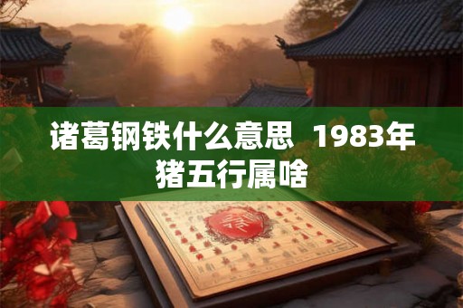 诸葛钢铁什么意思  1983年猪五行属啥