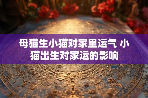 母猫生小猫对家里运气 小猫出生对家运的影响