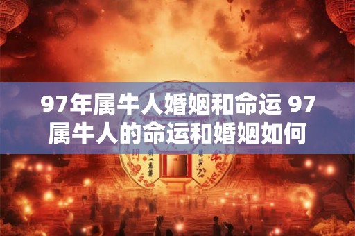 97年属牛人婚姻和命运 97属牛人的命运和婚姻如何 97年属牛人婚姻和命运 97属牛人的命运和婚姻如何