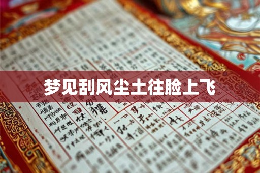 梦见刮风尘土往脸上飞