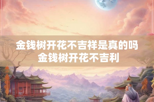 金钱树开花不吉祥是真的吗 金钱树开花不吉利 金钱树开花不吉祥是真的吗 金钱树开花不吉利