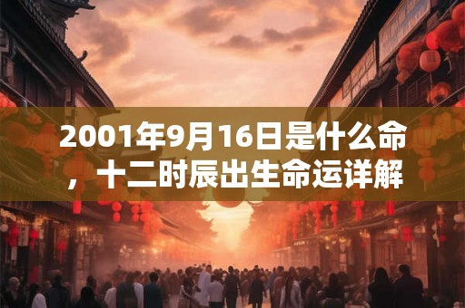 2001年9月16日是什么命，十二时辰出生命运详解