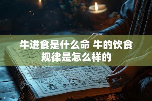 牛进食是什么命 牛的饮食规律是怎么样的