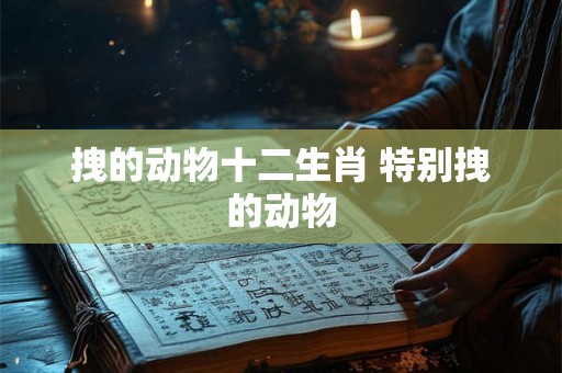 拽的动物十二生肖 特别拽的动物 拽的动物十二生肖 特别拽的动物