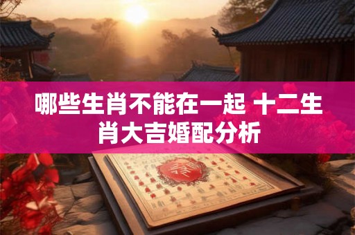 哪些生肖不能在一起 十二生肖大吉婚配分析