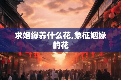 求姻缘养什么花,象征姻缘的花