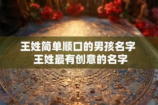 王姓简单顺口的男孩名字  王姓最有创意的名字