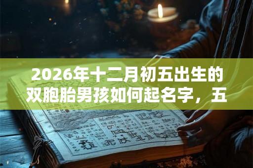 2026年十二月初五出生的双胞胎男孩如何起名字,五行属什么 2026年十二月初五出生的双胞胎男孩如何起名字,五行属什么