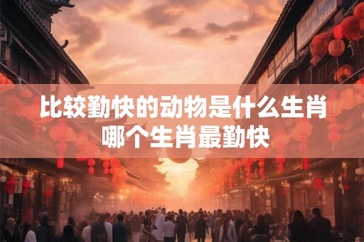 比较勤快的动物是什么生肖 哪个生肖最勤快