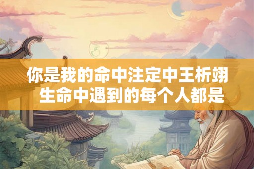 你是我的命中注定中王析翊  生命中遇到的每个人都是命中注定