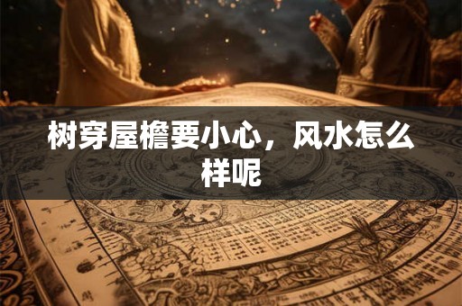 树穿屋檐要小心，风水怎么样呢