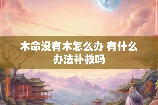 木命没有木怎么办 有什么办法补救吗