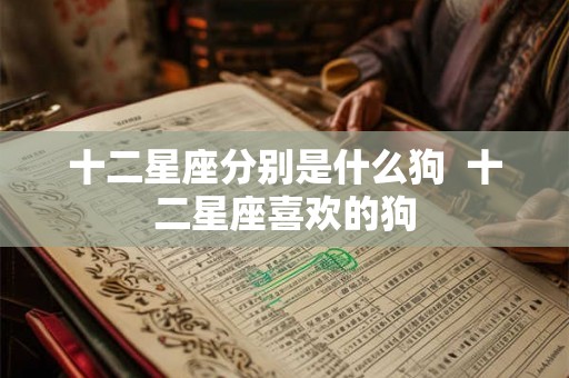 十二星座分别是什么狗 十二星座喜欢的狗 十二星座分别是什么狗 十二星座喜欢的狗