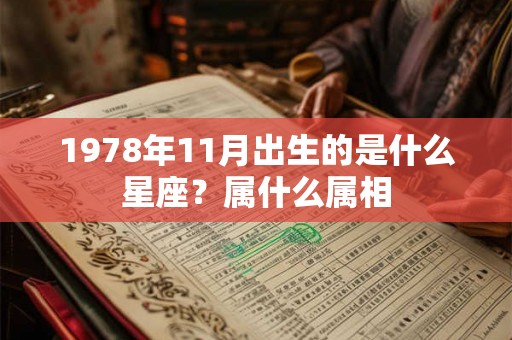1978年11月出生的是什么星座?属什么属相 1978年11月出生的是什么星座?属什么属相