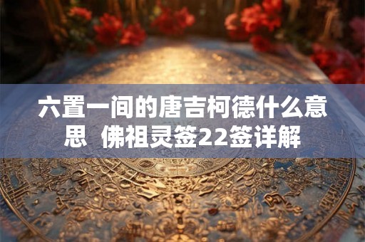 六置一间的唐吉柯德什么意思  佛祖灵签22签详解