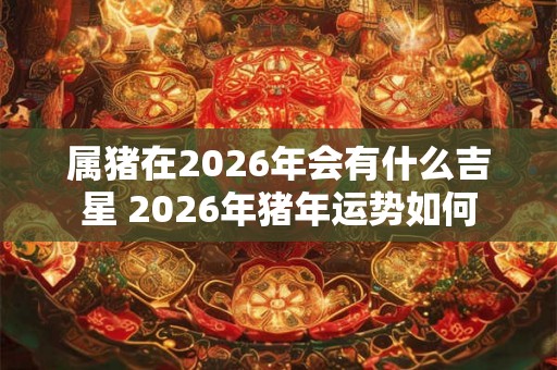 属猪在2026年会有什么吉星 2026年猪年运势如何