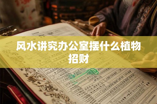 风水讲究办公室摆什么植物招财