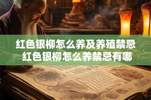 红色银柳怎么养及养殖禁忌 红色银柳怎么养禁忌有哪些