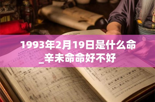 1993年2月19日是什么命_辛未命命好不好