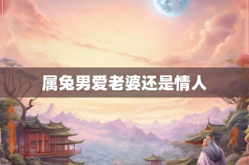 属兔男爱老婆还是情人