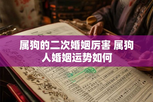 属狗的二次婚姻厉害 属狗人婚姻运势如何