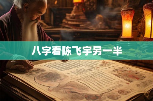 八字看陈飞宇另一半