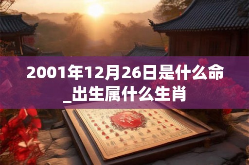 2001年12月26日是什么命_出生属什么生肖