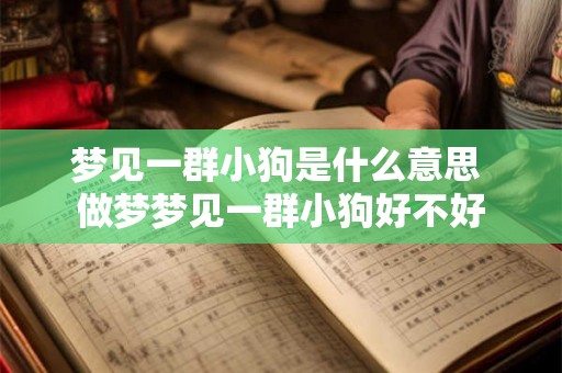 梦见一群小狗是什么意思 做梦梦见一群小狗好不好 梦见一群小狗是什么意思 做梦梦见一群小狗好不好