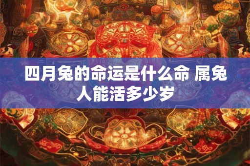 四月兔的命运是什么命 属兔人能活多少岁