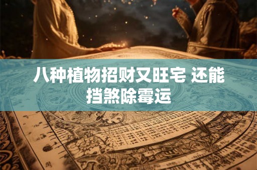 八种植物招财又旺宅 还能挡煞除霉运