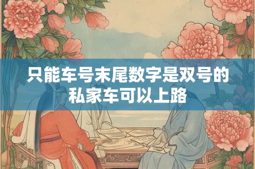 只能车号末尾数字是双号的私家车可以上路