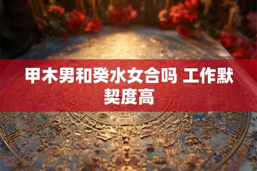 甲木男和癸水女合吗 工作默契度高