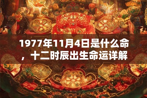 1977年11月4日是什么命，十二时辰出生命运详解