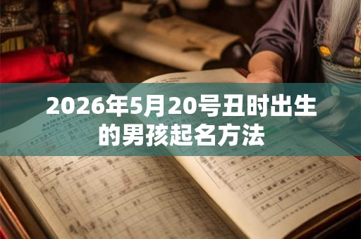 2026年5月20号丑时出生的男孩起名方法