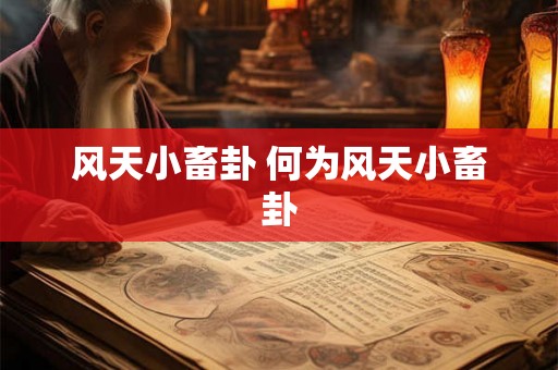 风天小畜卦 何为风天小畜卦