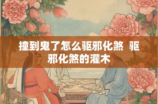 撞到鬼了怎么驱邪化煞  驱邪化煞的灌木