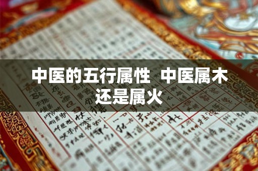 中医的五行属性  中医属木还是属火