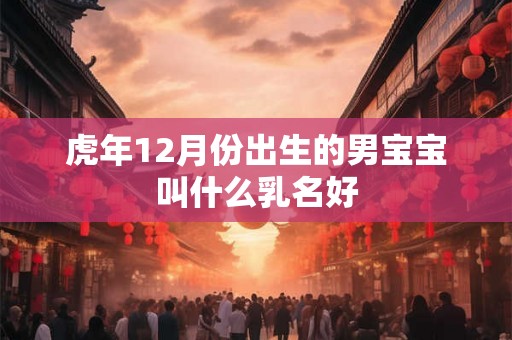 虎年12月份出生的男宝宝叫什么乳名好