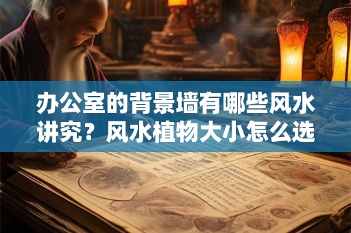 办公室的背景墙有哪些风水讲究？风水植物大小怎么选择？