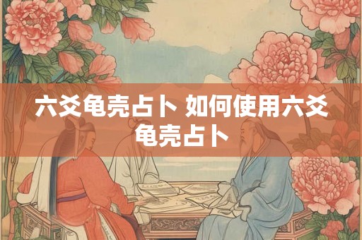 六爻龟壳占卜 如何使用六爻龟壳占卜