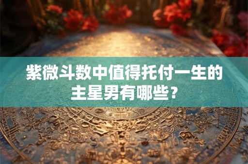 紫微斗数中值得托付一生的主星男有哪些？