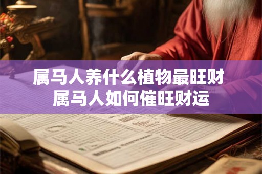 属马人养什么植物最旺财 属马人如何催旺财运