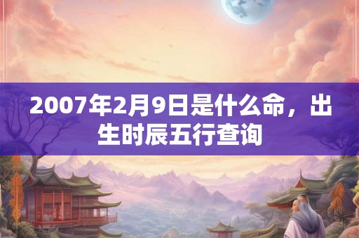 2007年2月9日是什么命，出生时辰五行查询