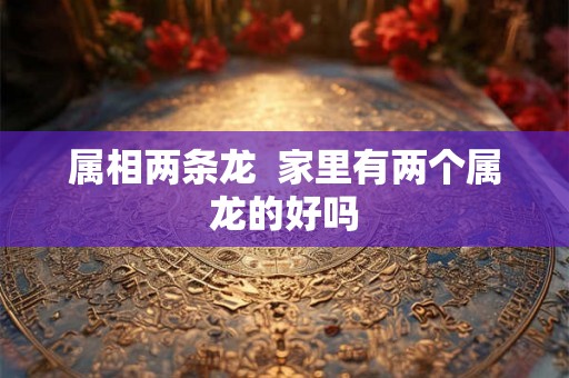 属相两条龙  家里有两个属龙的好吗
