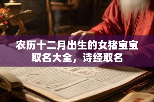 农历十二月出生的女猪宝宝取名大全，诗经取名